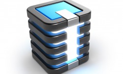 Etiam dictum egestas